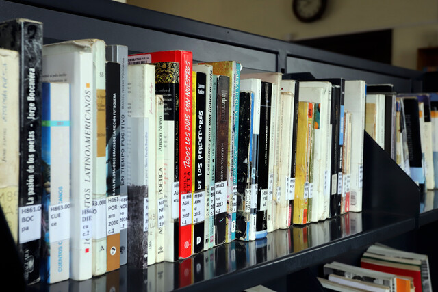 Puqueldón se adjudica más de 19 millones en financiamiento para mejorar su biblioteca