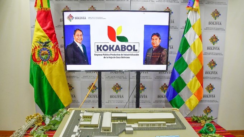 Bolivia inicia la construcción de una fábrica de pasta de dientes hecha de hoja de coca