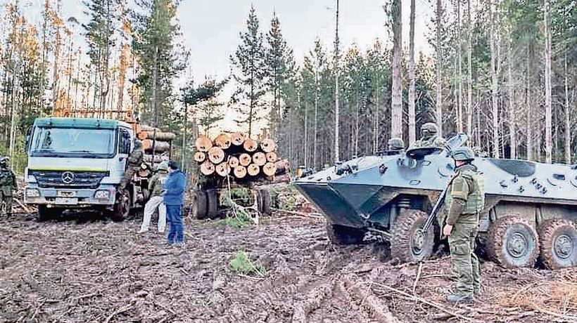 Corma valora promulgación de ley contra el robo de madera