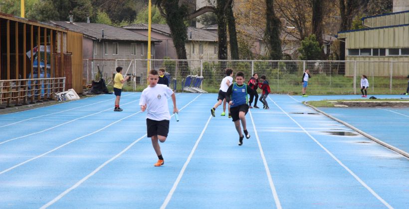 Puerto Montt: 230 atletas participaron en el Campeonato Regional de Atletismo Puerto Sur Puerto Montt: 230 atletas participaron en el Campeonato Regional de Atletismo Puerto Sur
