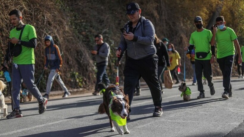 Este domingo se llevará a cabo la “Trekking Dog” en La Calera Este domingo se llevará a cabo la “Trekking Dog” en La Calera