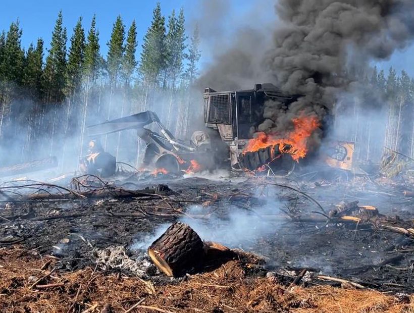 Senadores presentan proyecto al Gobierno para eximir de contribuciones a propiedades usurpadas o destruidas por ataques incendiarios Senadores presentan proyecto al Gobierno para eximir de contribuciones a propiedades usurpadas o destruidas por ataques incendiarios