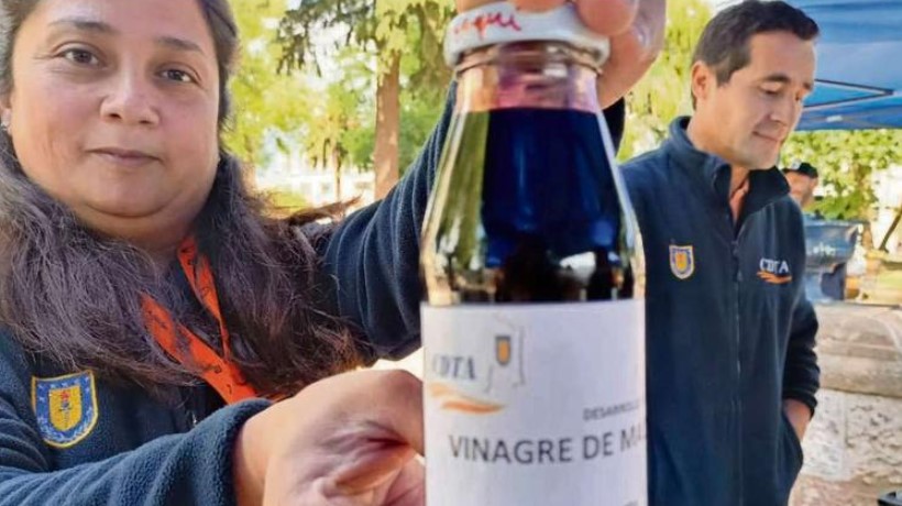 Minipymes de la región mostraron la innovación de sus productos en Chillán