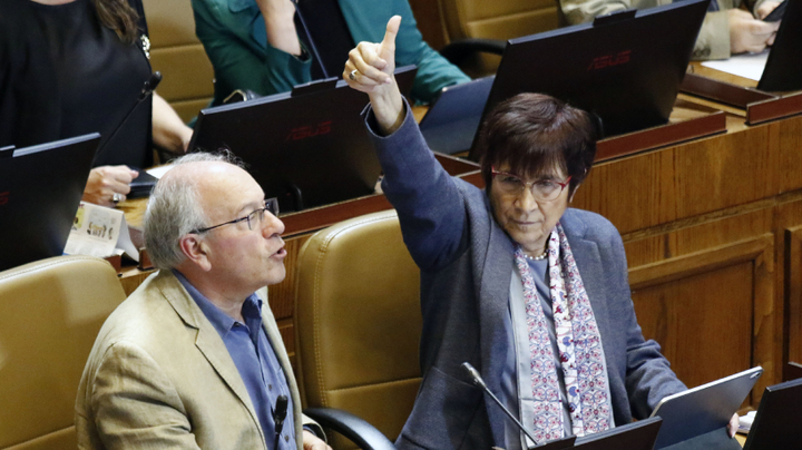 “Cállense jauría”: Diputada Carmen Hertz se enfrenta a bancada de la UDI por interrumpirla