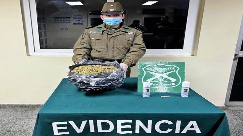 Quellón: camión que transportaba frutas traía en su interior más dos kilos de marihuana