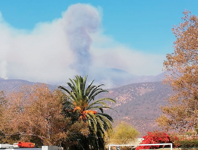 Detienen a cuidador de parcela por incendio forestal en Olmué
