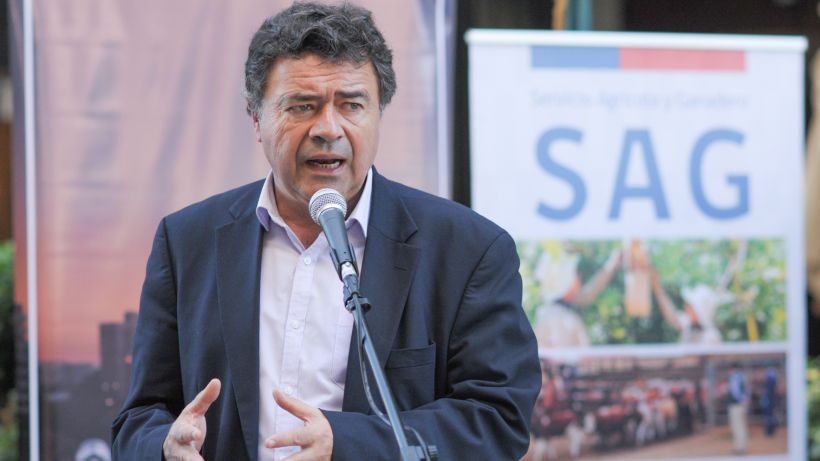 Ministerio de Agricultura investigará empresa de frambuesas exportadas a EEUU por riesgo de hepatitis