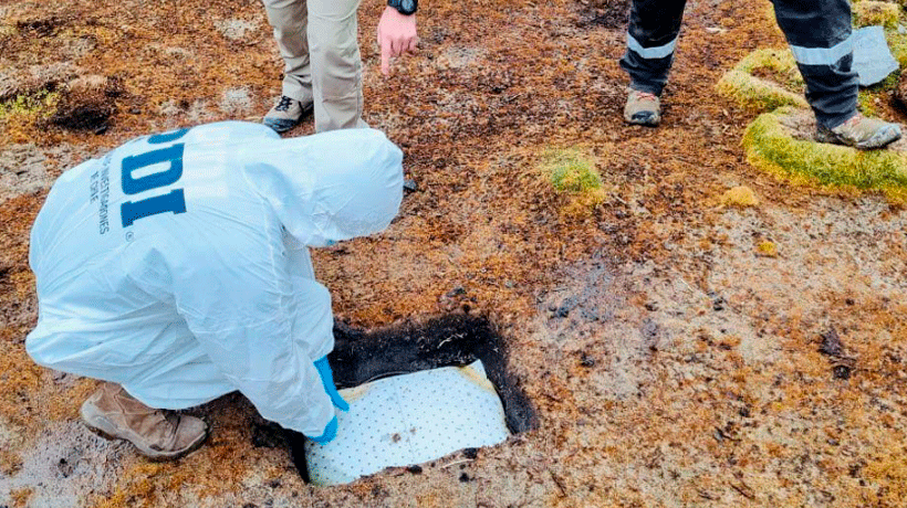 Arica: Investigan contaminación por combustible en Parque Nacional Lauca