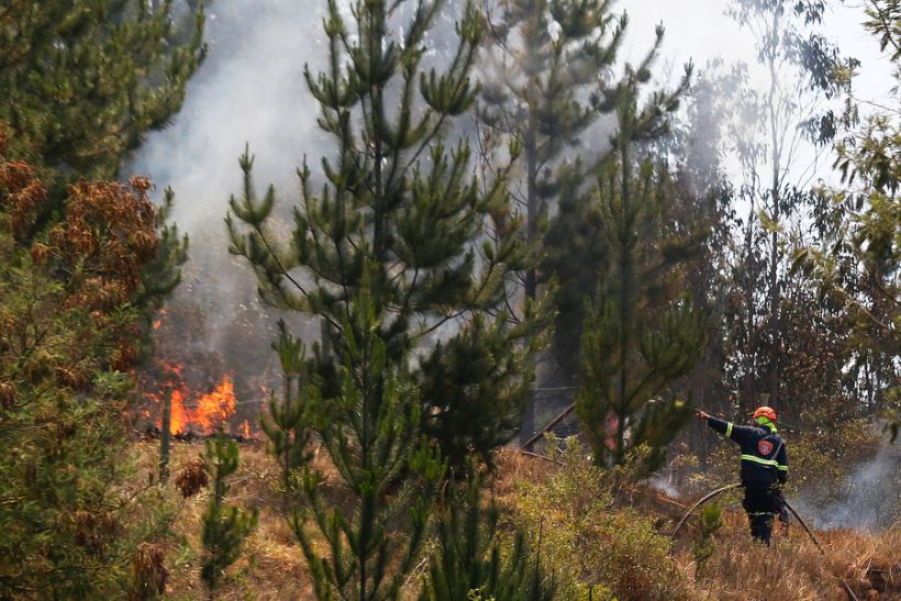 Balance de la Onemi: Hay 12 incendios forestales en combate y 22 ...