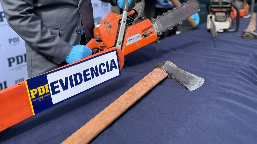 Detienen A 10 Sujetos Involucrados En El Robo De Madera Desde Un Predio