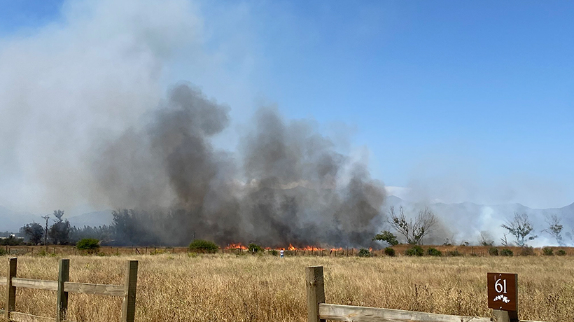 [VIDEO] Incendio forestal se registró en Casablanca: afectó a 24,14 hectáreas