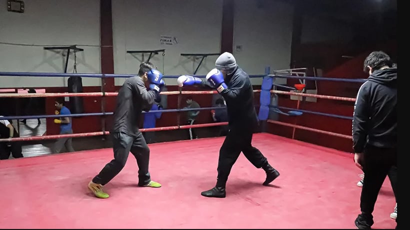 Perros de Pelea” incluirá nueve combates de boxeo amateur en Club México de  Osorno