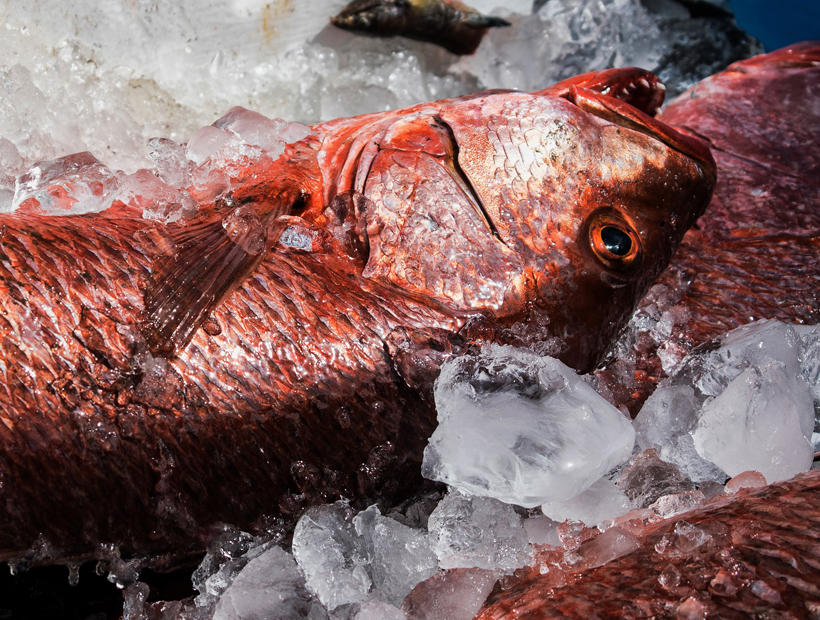 Semana Santa: ¿Subirán los precios de pescados y mariscos?