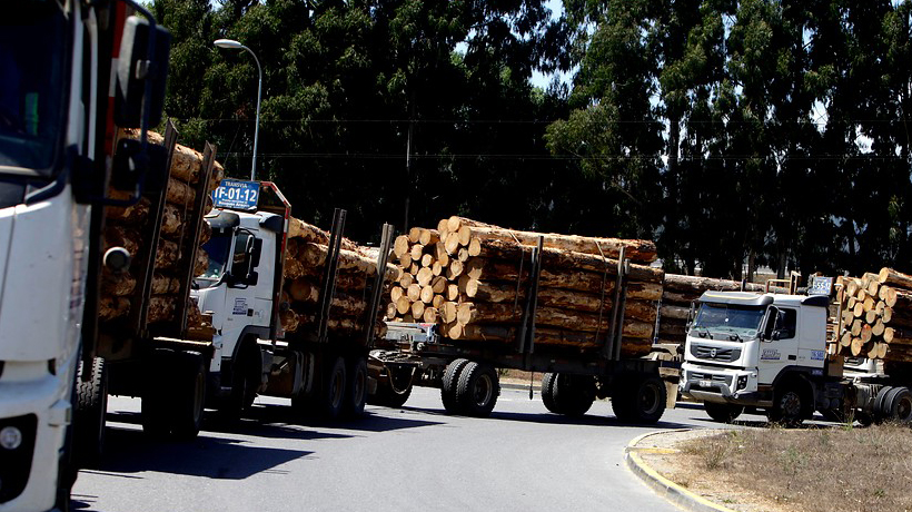 Camioneros forestales acusan que uso de trenes de carga provoca desmedro laboral y económico