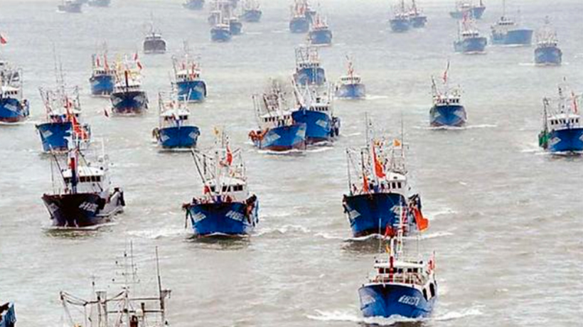 Armada y Sernapesca en alerta: vigilan a flota china "del calamar" que transitarán por mares nacionales