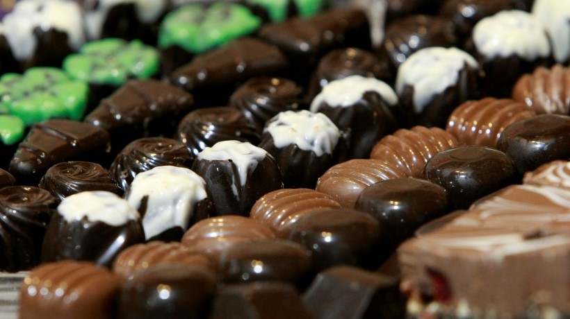 Buscan lograr nuevo récord en Osorno con elaboración de vaca de chocolate de 350 kilos Buscan lograr nuevo récord en Osorno con elaboración de vaca de chocolate de 350 kilos
