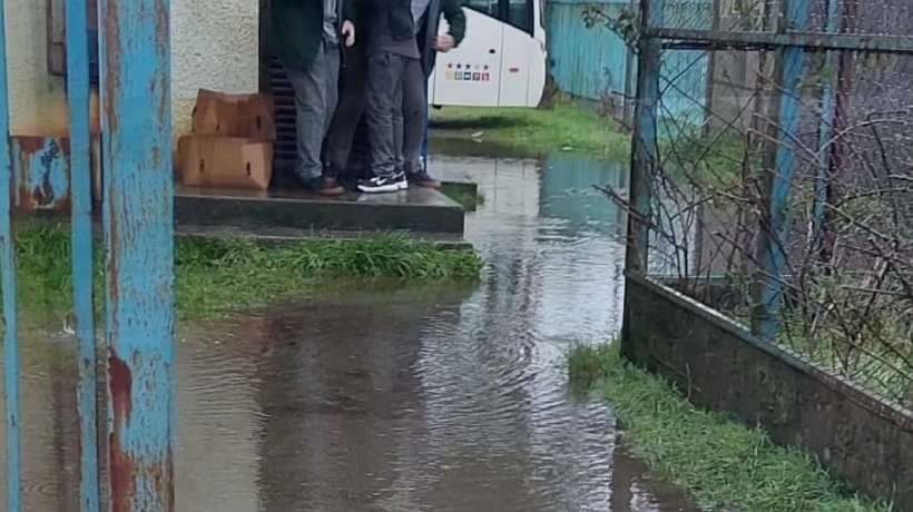 Hasta una plaga de palomas: alumnos reclaman por pésimo estado del liceo de Carelmapu
