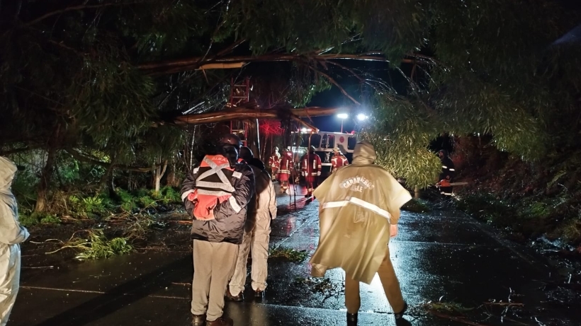 Cuatro temporales han golpeado a Puerto Montt en solo una semana: sería &quot;El Niño&quot;