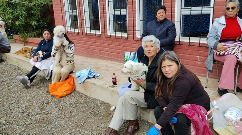 Municipio de La Calera abrió nuevas fechas para operativos gratuitos de esterilización