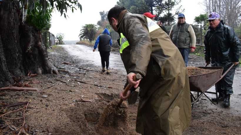Autoridades de Ñuble trabajan para prevenir problema sanitario por animales muertos por las inundaciones