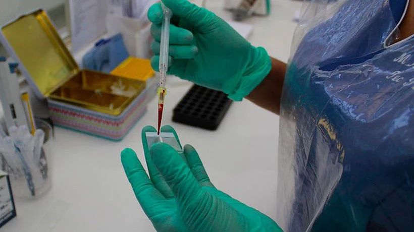 Experto UST: "En Chile tenemos uno de los hongos más venenosos del mundo"