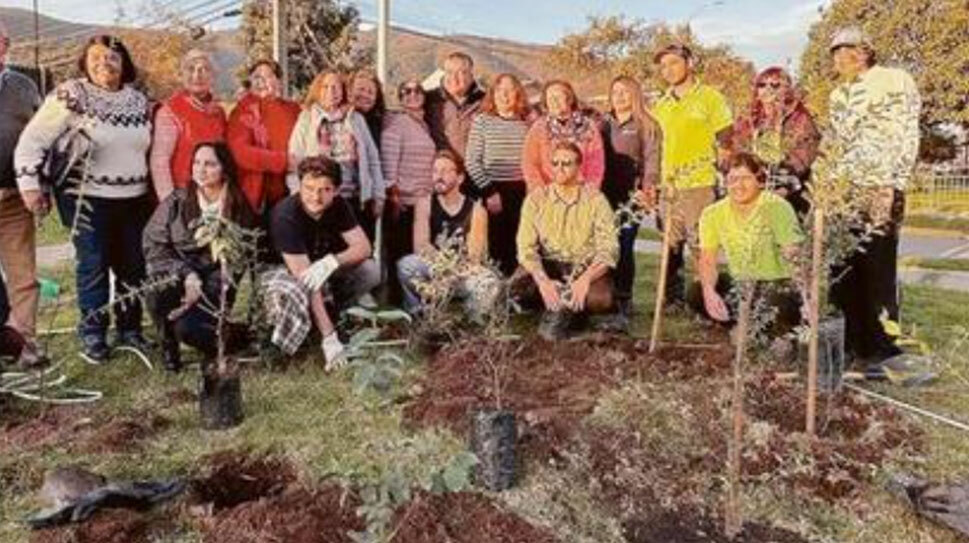Limache utiliza método japonés para rescatar el bosque nativo