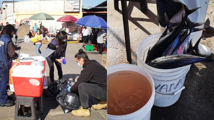 Presencia de moscas y falta de higiene: Decomisan 70 kilos de alimentos al comercio ambulante en sector de La Vega de Antofagasta
