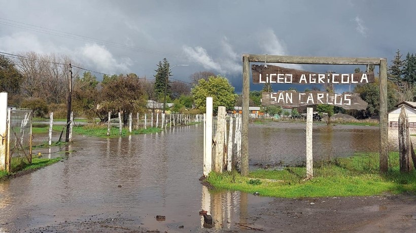 Seremi de Salud de Ñuble advierte riesgo de leptospirosis en zonas inundadas