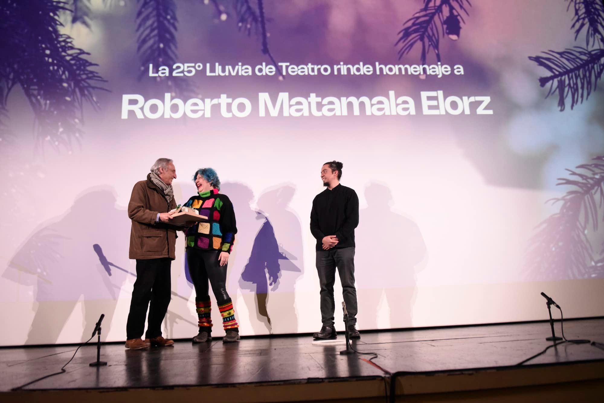Valdivia: 3.000 personas asistieron al 25° Festival Lluvia de Teatro