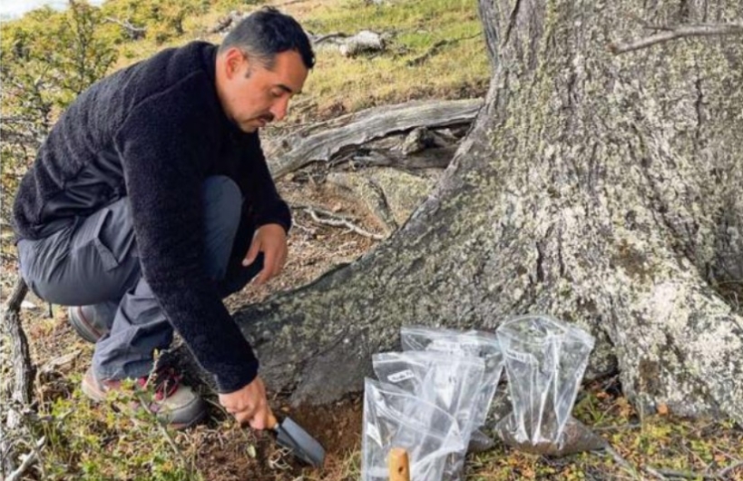 Chilenos logran hacer una cerveza con levadura de los árboles Chilenos logran hacer una cerveza con levadura de los árboles
