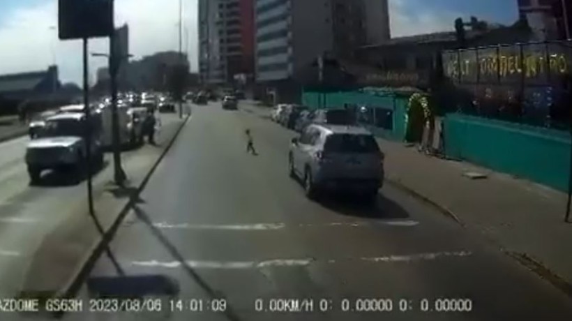[VIDEO] Captan a niño cruzando solo la Avenida del Mar en Antofagasta