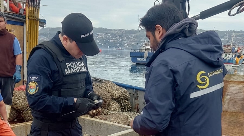 Incautan 5,7 toneladas de productos marinos en controles en Quellón y Quemchi Incautan 5,7 toneladas de productos marinos en controles en Quellón y Quemchi