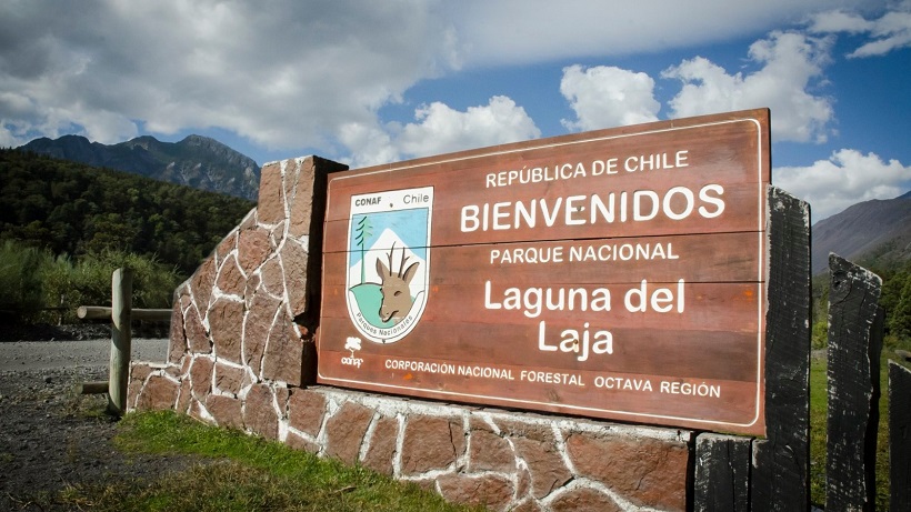 Conaf cerró preventivamente todos los parques y reservas en la región del Biobío por sistema frontal
