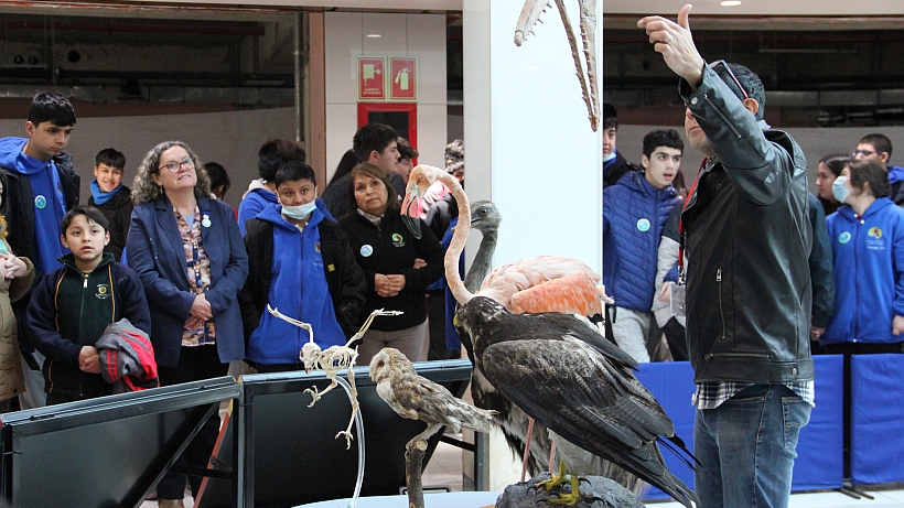 Museo Nacional de Historia Natural inauguró expo dinosaurios en Puerto Montt