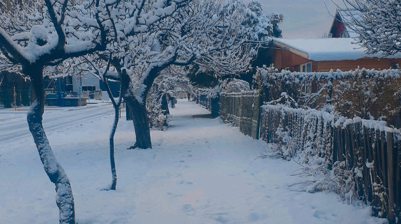 Hasta 10 centímetros: comuna de Lonquimay amaneció cubierta de nieve