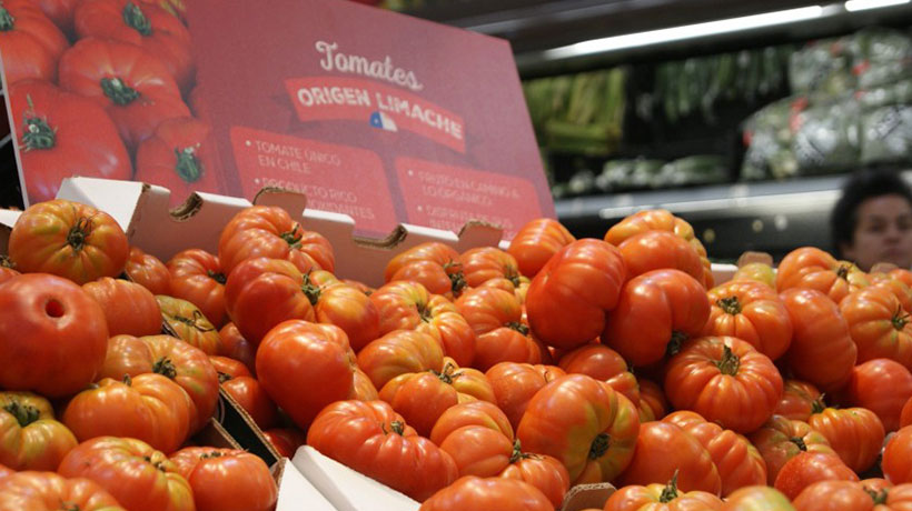 Gobernador de Valparaíso compromete apoyo para que otorguen denominación de origen al tomate limachino