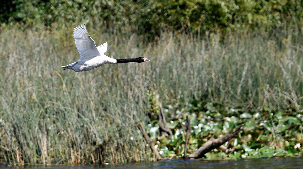 Región de Valparaíso tendrá tres nuevos Santuarios de la Naturaleza: cinco a nivel país