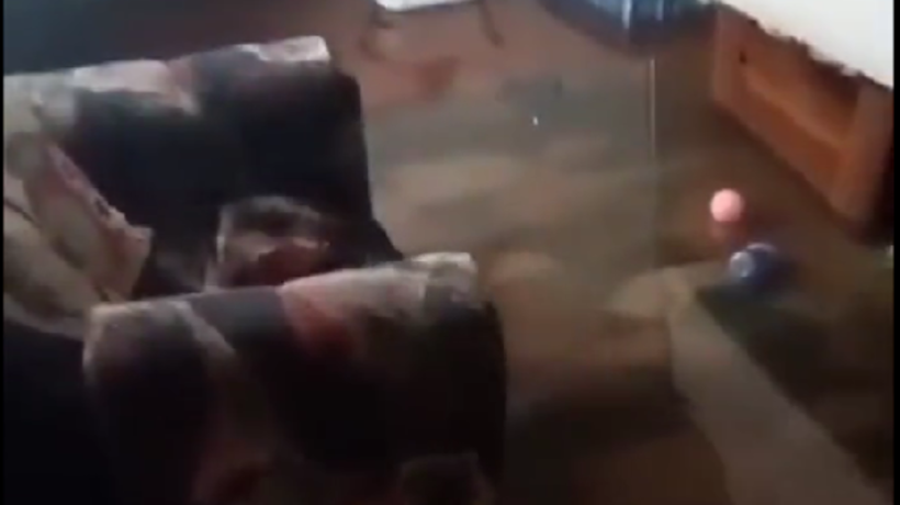 [VIDEO]: Viviendas comienzan a inundarse debido a sistema frontal en Valdivia