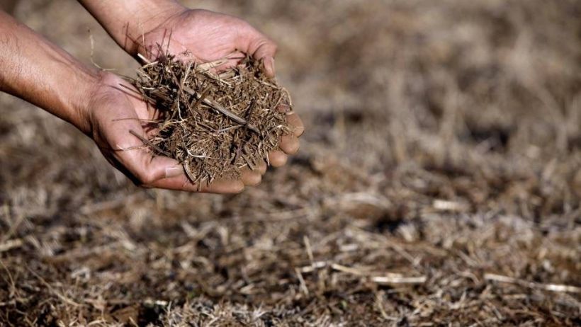 Gobierno decreta Estado de Emergencia Agrícola en 16 comunas de La Araucanía