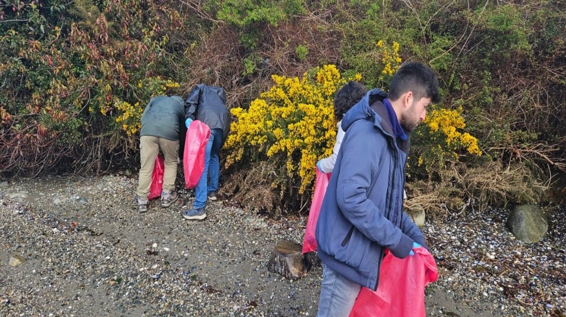 Realizan importante jornada de limpieza de playas en Castro: reúnen más de 500 litros en basura