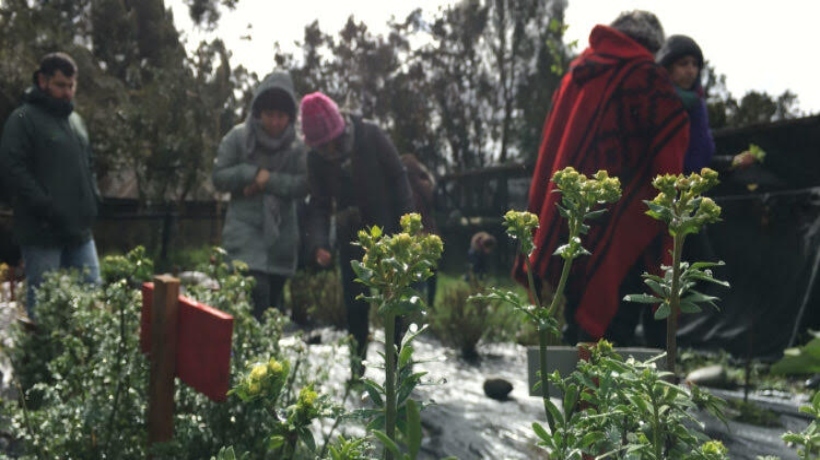 Grupo de vecinas del Barrio Tejiendo Sueños visitan el Parque Municipal de Castro