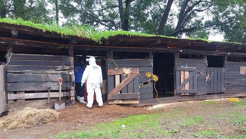 Osorno: falleció hombre que mató y enterró a su esposa en una pesebrera