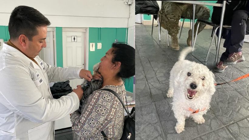 Más de 1.000 mascotas en Antofagasta han sido vacunadas contra la rabia durante este año