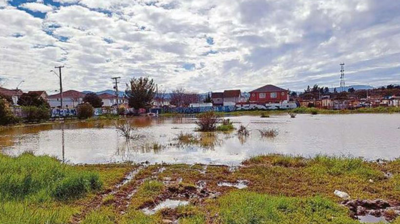 Proyecto de viviendas pone en estado de alerta a vecinos de Quilpué: “Esto va a colapsar”