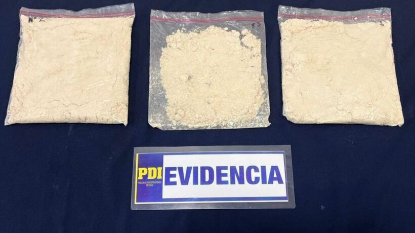 Mujer mantenía más de 30 mil dosis de cocaína en Valdivia