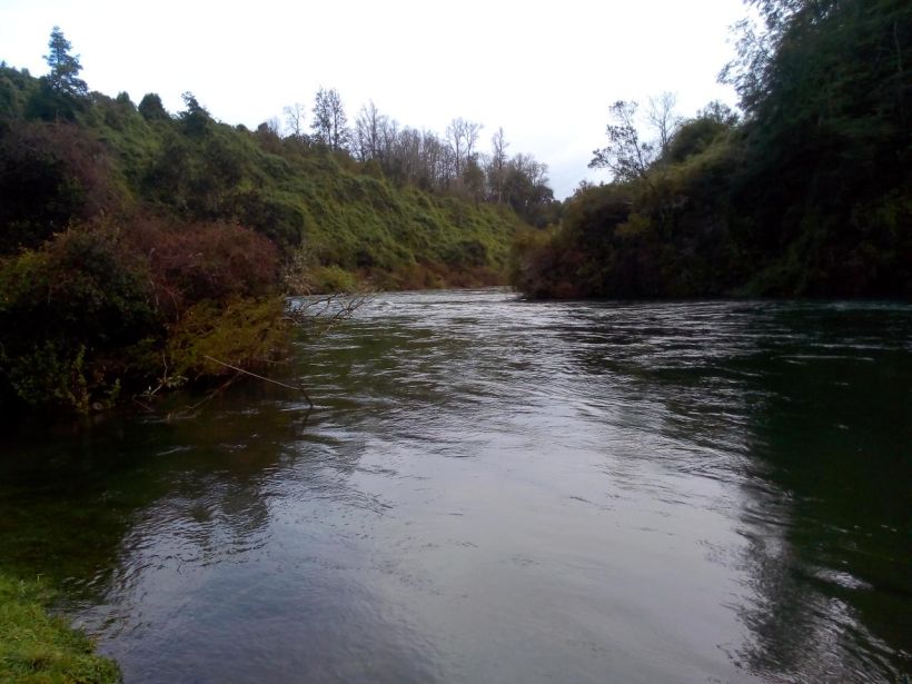 Río Bueno: destacan el retiro de proyecto para construir central hidroeléctrica Osorno Río Bueno: destacan el retiro de proyecto para construir central hidroeléctrica Osorno
