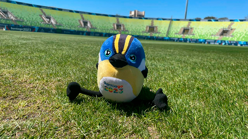 Estadios Elías Figueroa de Valparaíso y Sausalito de Viña del Mar están listos para recibir los Juegos Panamericanos Estadios Elías Figueroa de Valparaíso y Sausalito de Viña del Mar están listos para recibir los Juegos Panamericanos