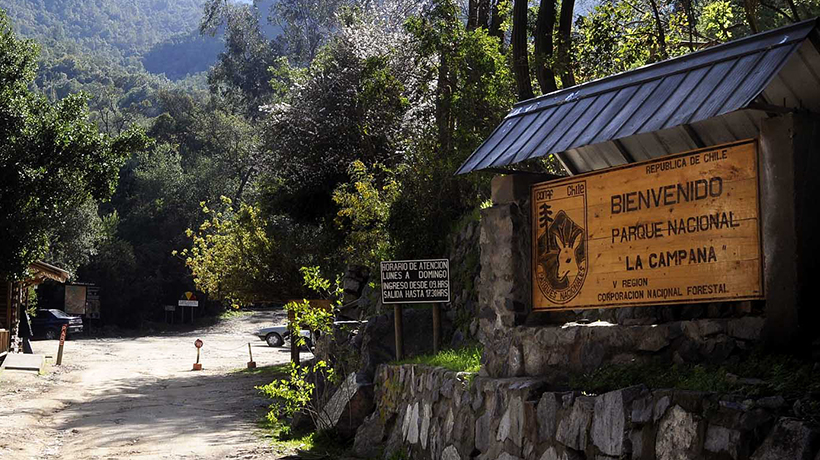Conaf cierra tres accesos al cerro La Campana y Grimp de Bomberos se suman a búsqueda de senderista extraviado