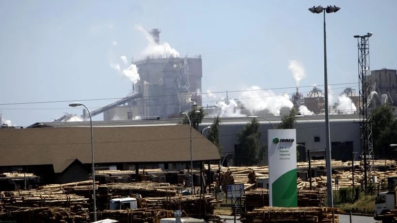 Empresa Arauco despidió a unos 300 trabajadores en medio de proceso de reestructuración