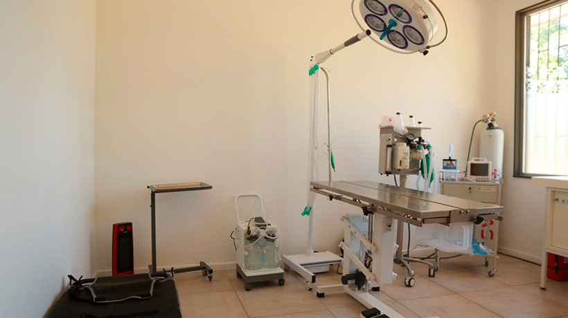 Inauguran moderno centro veterinario en Limache